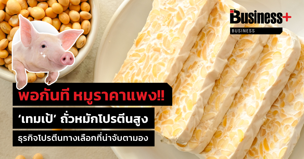 B+_Tempeh_WEB