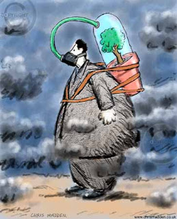 Sustainable Development