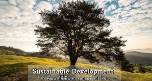 Sustainable Development