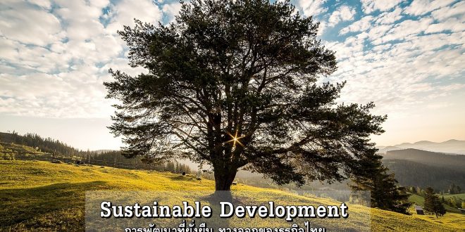 Sustainable Development