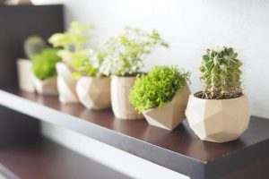 Mini planter