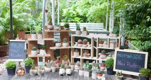Mini planter