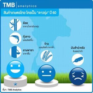  TMB Analytics 