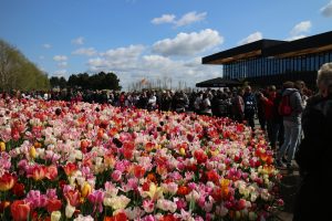 Keukenhof