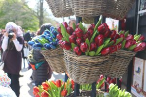 Keukenhof