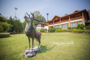 The Log Home Experience Khao Yai 