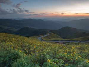 ดอยสุดฮิตที่จังหวัดเชียงราย