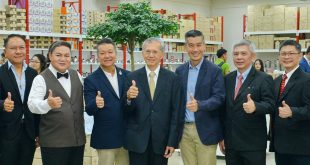 หัวม้าลาย