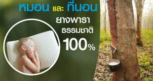 เลเท็กซ์ ซิสเทมส์