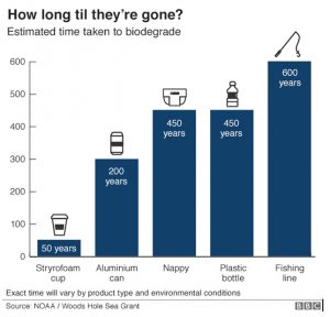 Circular Economy