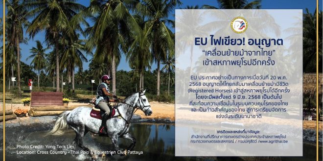 สหภาพยุโรป ไฟเขียว!!! ไทยส่งออกม้าที่จดทะเบียนไปยังสหภาพยุโรป (EU) ได้อีกครั้ง