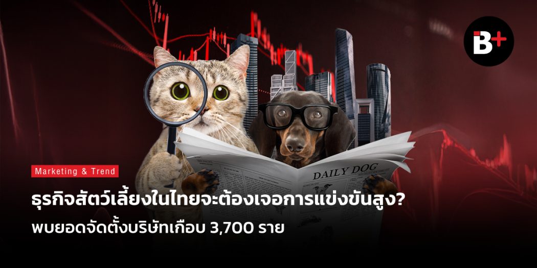 ธุรกิจสัตว์เลี้ยง
