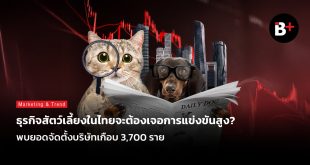 ธุรกิจสัตว์เลี้ยง