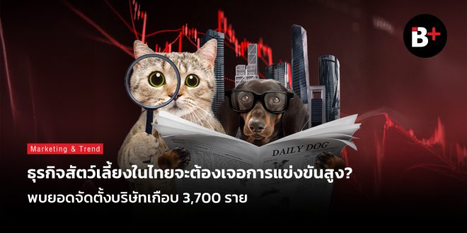ธุรกิจสัตว์เลี้ยง