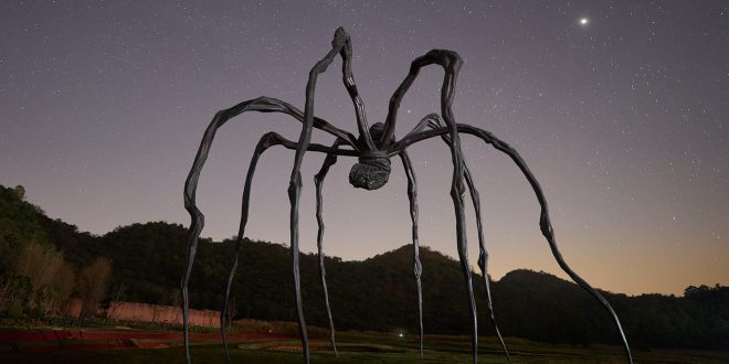 เสพศิลป์กลางไพร Khao Yai Art Forest