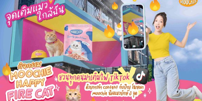 COCOCO เดินเกมรุกตลาดสัตว์เลี้ยง! ส่ง “ไทย ออซัม” อวดศักยภาพใน Pet Expo 2025 -เปิดตัว 3D Billboard น้องแมวกลางกรุง ดึงกระแสเพ็ทเลิฟเวอร์ทั่วไทย