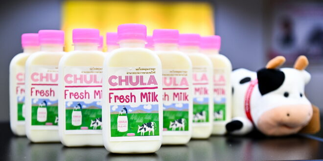 จุฬาฯ เปิดเวทีเสวนา “From Farm to Facts : คุณภาพนมไทยพิสูจน์ได้”  แชร์องค์ความรู้สู่ผู้บริโภค “นมไทย” มีคุณภาพ ได้มาตรฐานและปลอดภัย