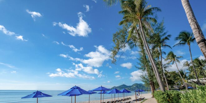 ปลายปีนี้ “โอโซ่” ชวนแพ็คกระเป๋า รีเฟรชใจ  แล้วออกไปค้นหาความสนุกในแบบของคุณ