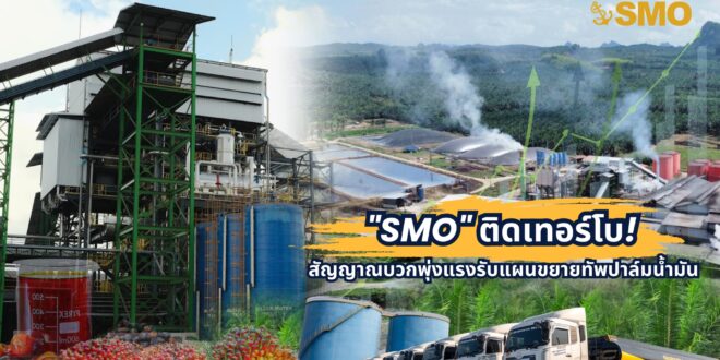 “SMO” ติดเทอร์โบ! สัญญาณบวกพุ่งแรงรับแผนขยายทัพปาล์มน้ำมัน