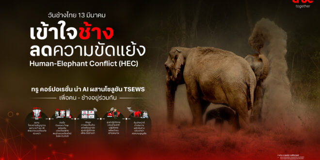 วันช้างไทย 13 มีนาคม ทรู คอร์ปอเรชั่นนำ AI ผสานโซลูชัน TSEWS เพิ่มความแม่นยำ ระบบ เข้าใจช้าง ลดความขัดแย้ง ส่งเสริมการอยู่ร่วมกันของคนและช้างป่า ในโลกที่พื้นที่ธรรมชาตินับวันจะลดลงเรื่อยๆ