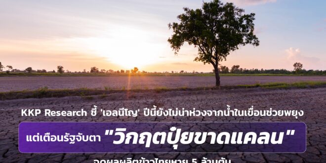 KKP Research ชี้ ‘เอลนีโญ’ ปีนี้ยังไม่น่าห่วงจากน้ำในเขื่อนช่วยพยุง แต่เตือนรัฐจับตา “วิกฤตปุ๋ยขาดแคลน” ฉุดผลผลิตข้าวไทยหาย 5 ล้านตัน