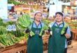 ท็อปส์ดึงวัสดุธรรมชาติจากไร่เกษตรกร พัฒนา Nature-Based Packaging ลดและทดแทนพลาสติก ครอบคลุมสินค้ากว่า 100 รายการ ภายใต้โครงการ “จริงใจ Farmers’ Market”