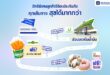 วิริยะประกันภัย เปิด “Viriyah Privileges Express”  เส้นทางสิทธิพิเศษ เติมความสุขที่มากกว่าให้คุณ