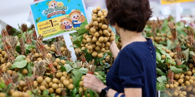 ซีพี แอ็กซ์ตร้า สานต่อโครงการ “ลำไย ปันสุข…คืนสุข สู่ชุมชน” ปีที่ 7  หนุนเกษตรกรไทย พร้อมสมทบทุนเข้าโครงการ “อาหารดีพี่ให้น้อง” สนับสนุนวัตถุดิบอาหารกลางวันให้นักเรียนทั่วประเทศ