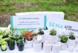 เสนา ยกระดับ SENA Low Carbon ร่วมกับ Q-CON พัฒนา “Eco-Pot” เปลี่ยนเศษอิฐเหลือใช้ให้กลับมามีคุณค่า ลดขยะ เพิ่มพื้นที่สีเขียว