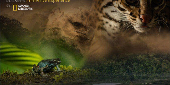 SX PROLOGUE เปิดโลกธรรมชาติ ผ่านมัลติมีเดียระดับโลก จาก National Geographic ที่งาน SX2026